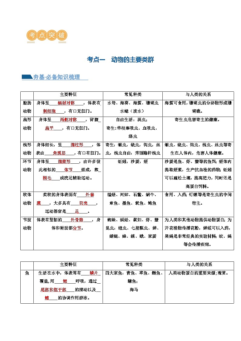 (通用版)中考生物一轮复习考点讲义专题16 动物的主要类群(2份,原卷版+解析版)03