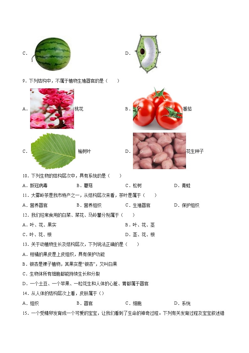 2025年中考生物一轮复习精讲精练专题03 细胞怎样构成生物体(原卷版)第2页