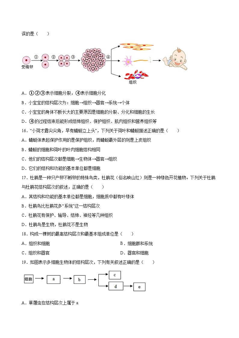 2025年中考生物一轮复习精讲精练专题03 细胞怎样构成生物体(原卷版)第3页