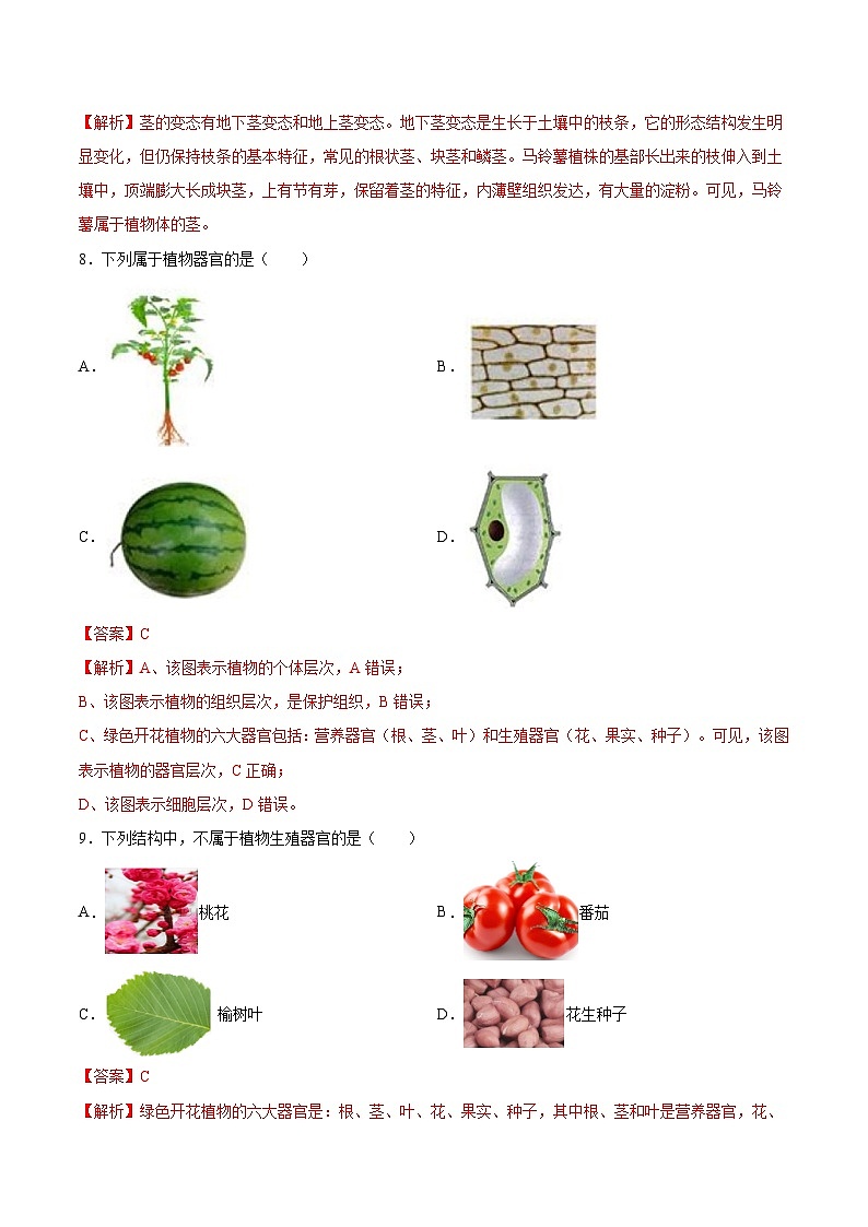 2025年中考生物一轮复习精讲精练专题03 细胞怎样构成生物体(解析版)第3页