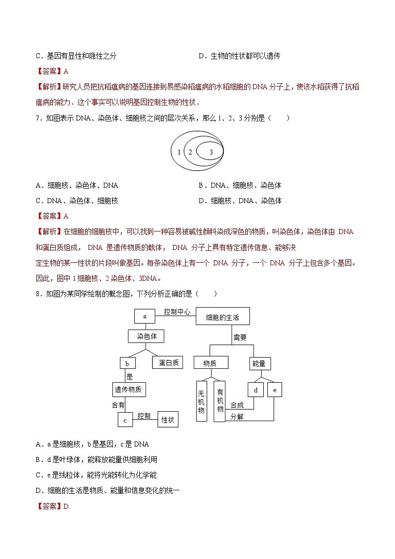 2025年中考生物一轮复习精讲精练专题21 生物的遗传和变异(解析版)第3页