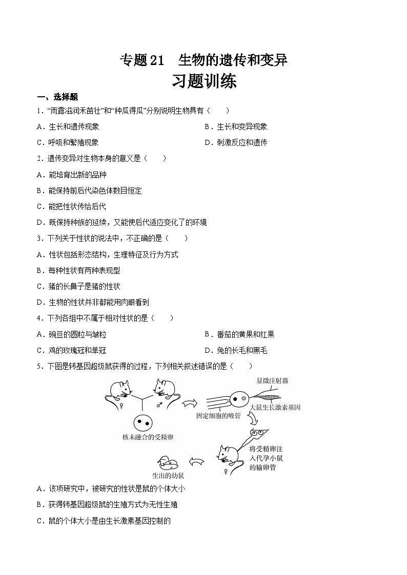 2025年中考生物一轮复习精讲精练专题21 生物的遗传和变异(原卷版)第1页