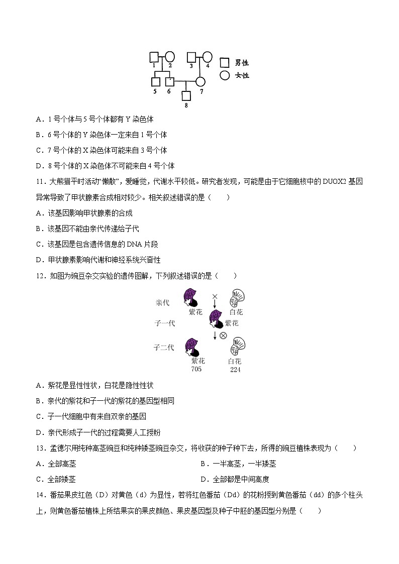 2025年中考生物一轮复习精讲精练专题21 生物的遗传和变异(原卷版)第3页