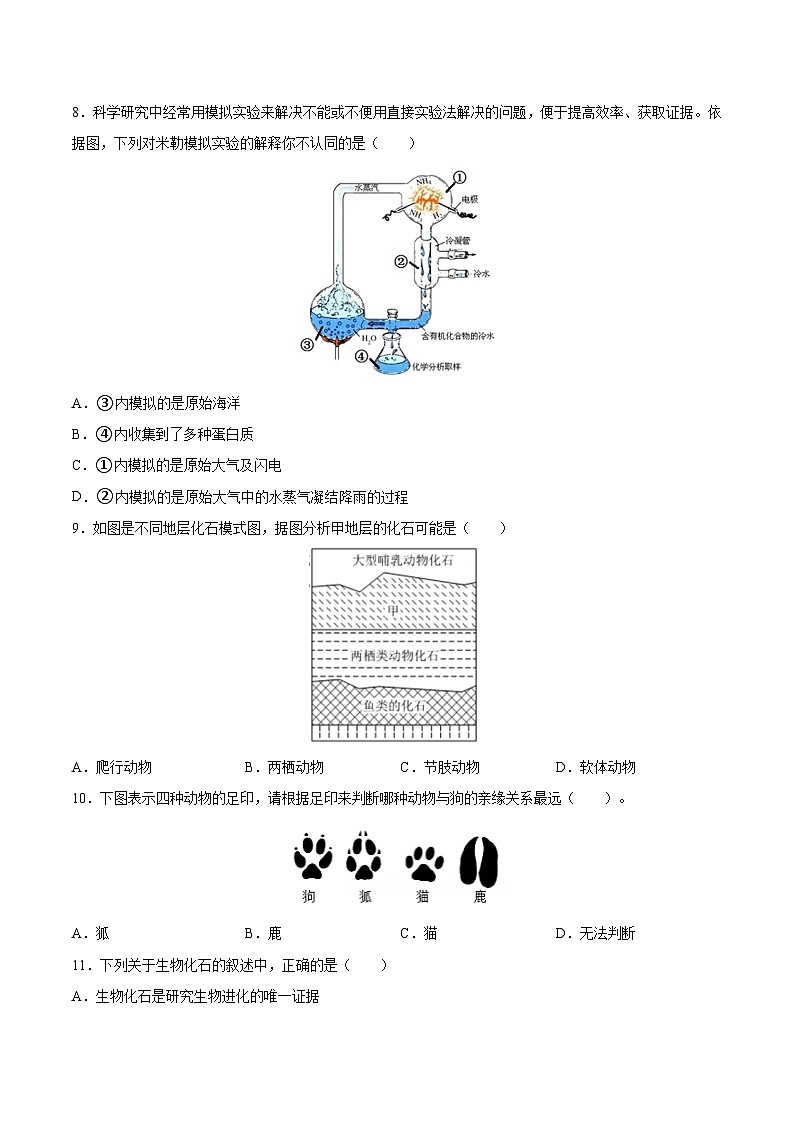 2025年中考生物一轮复习精讲精练专题22 生命的起源和生物进化(原卷版)第2页