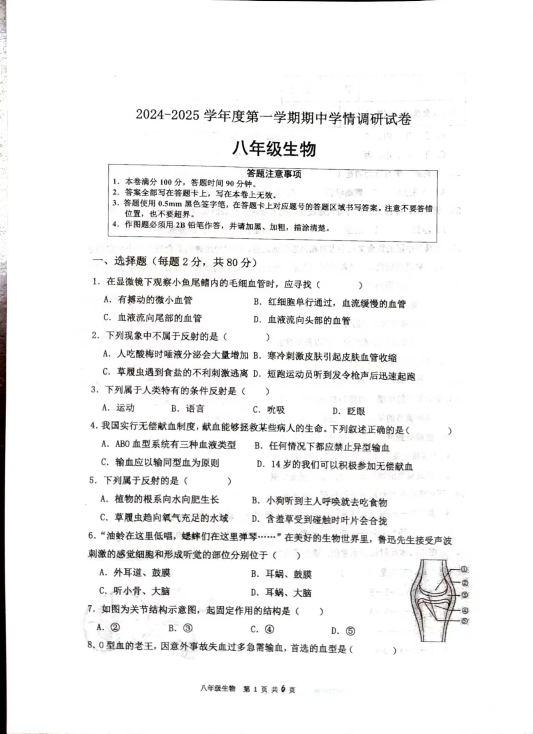 江苏省宿迁市宿城区新区教学共同体2024-2025学年八年级上学期11月期中生物试题