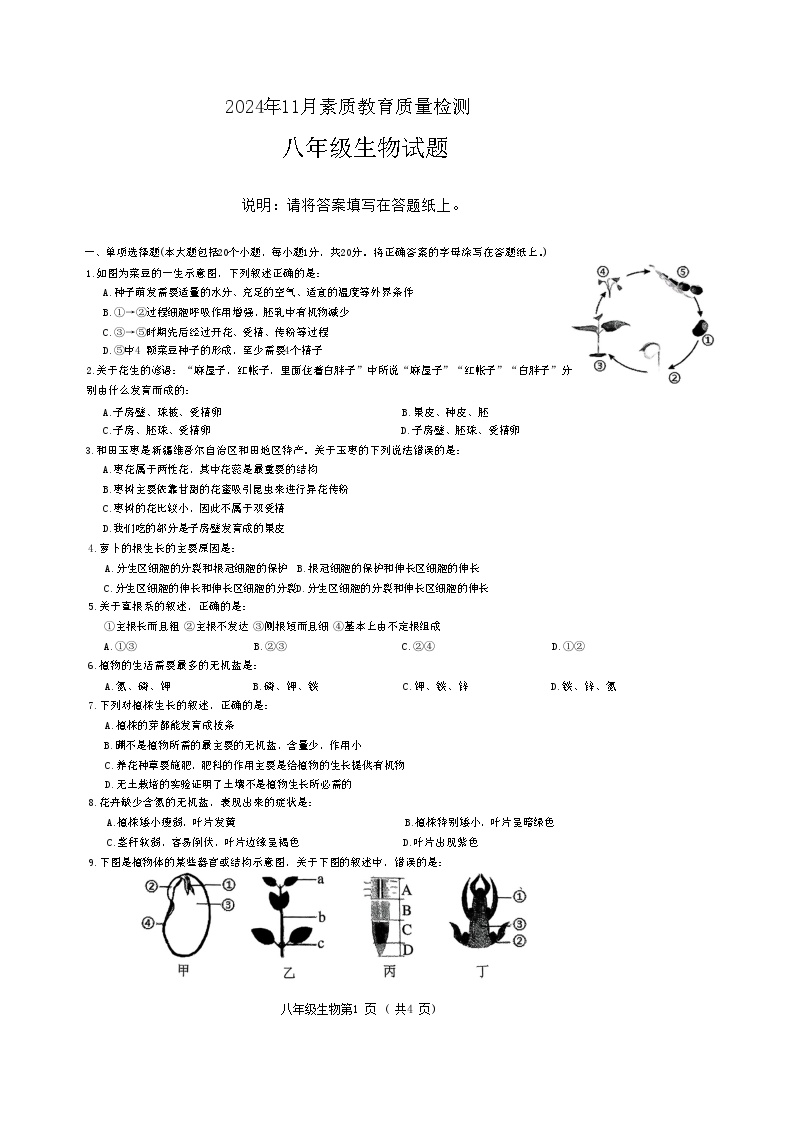 山东省菏泽市曹县2024-2025学年八年级上学期11月期中考试生物试题