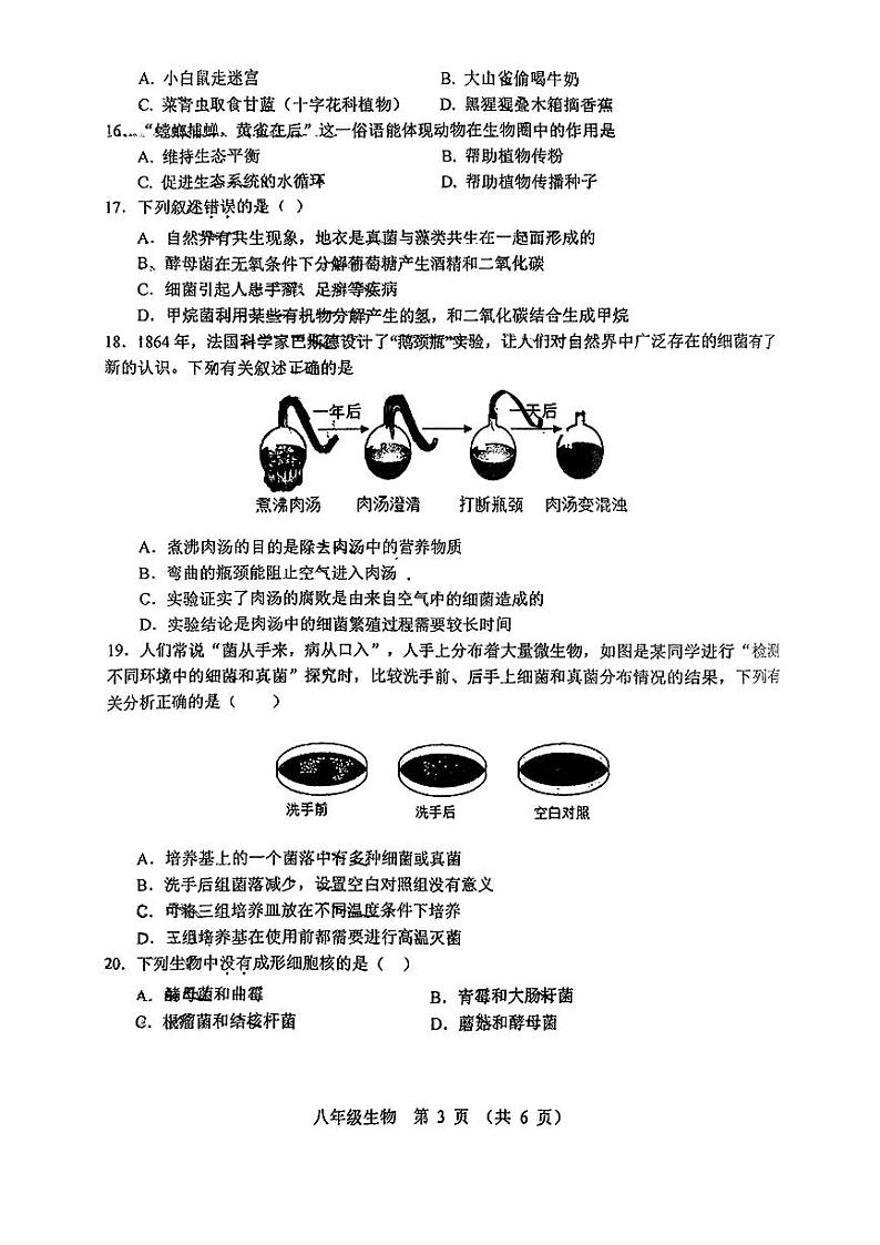 山西省实验中学2024-2025学年第一学期期中测评八年级生物试卷第3页