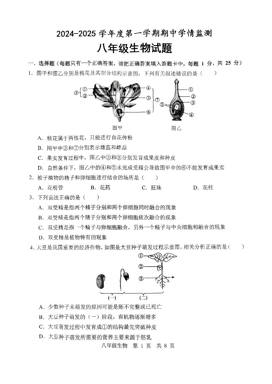 山东省济宁市金乡县2024-2025学年八年级上学期期中考试生物试题