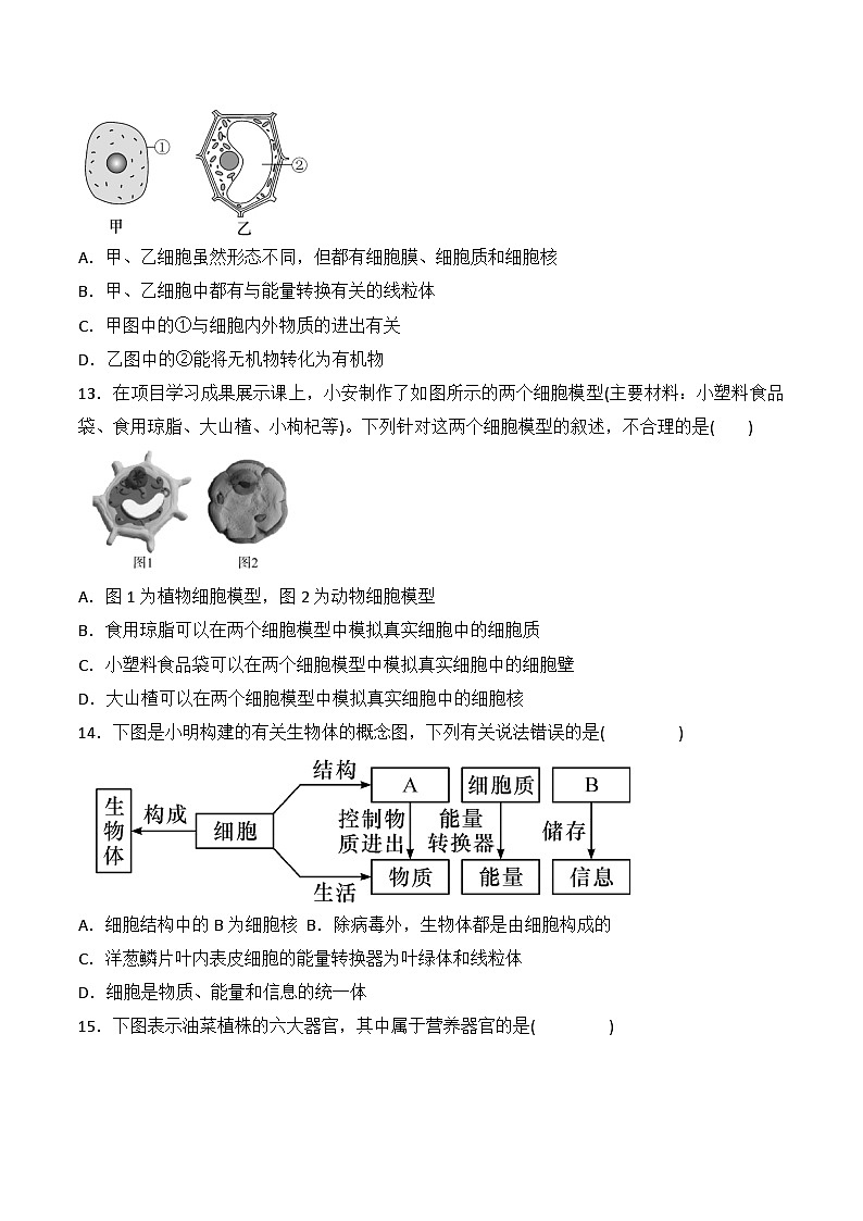 贵州省黔东南州从江县洛香中学2024-2025学年度七年级上学期期中质量监测生物学试卷第3页