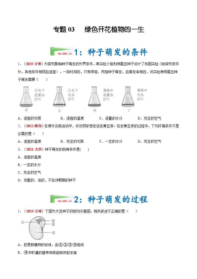 2025年中考生物真题分项汇编 专题03 绿色开花植物的一生（2份，原卷版+解析版）