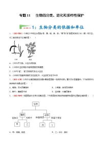 2025年中考生物真题分项汇编 专题11 生物的分类 进化和多样性保护（2份，原卷版+解析版）