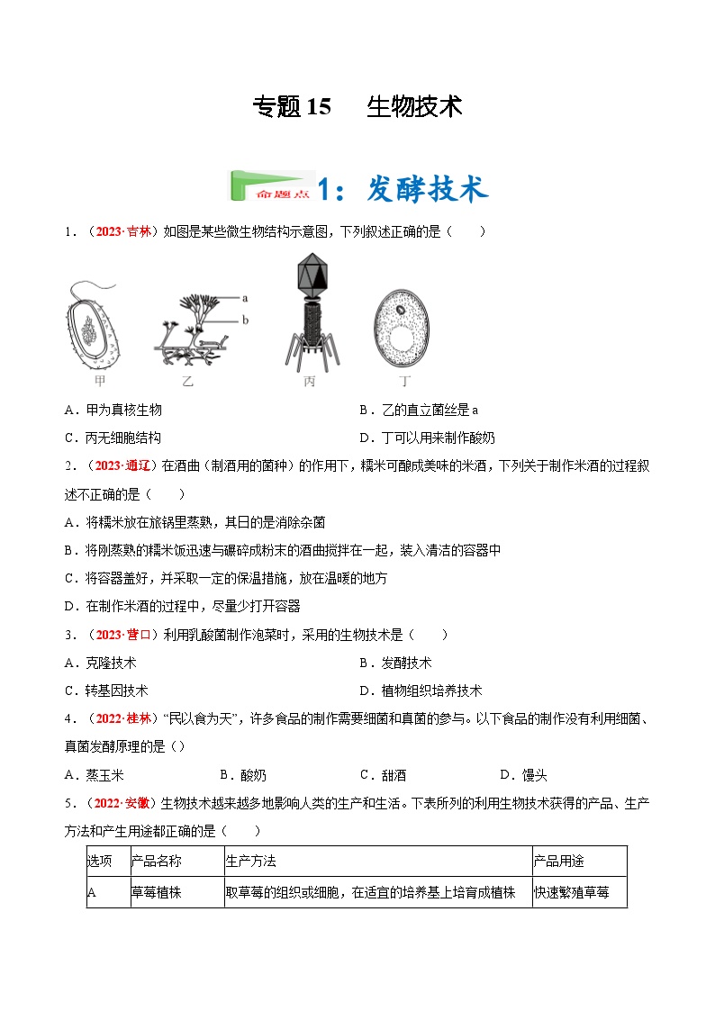 2025年中考生物真题分项汇编 专题15 生物技术（2份，原卷版+解析版）