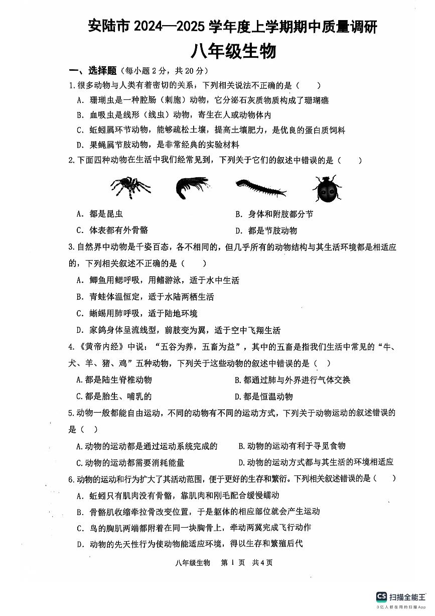 湖北省安陆市2024-2025学年八年级上学期期中质量调研生物试题