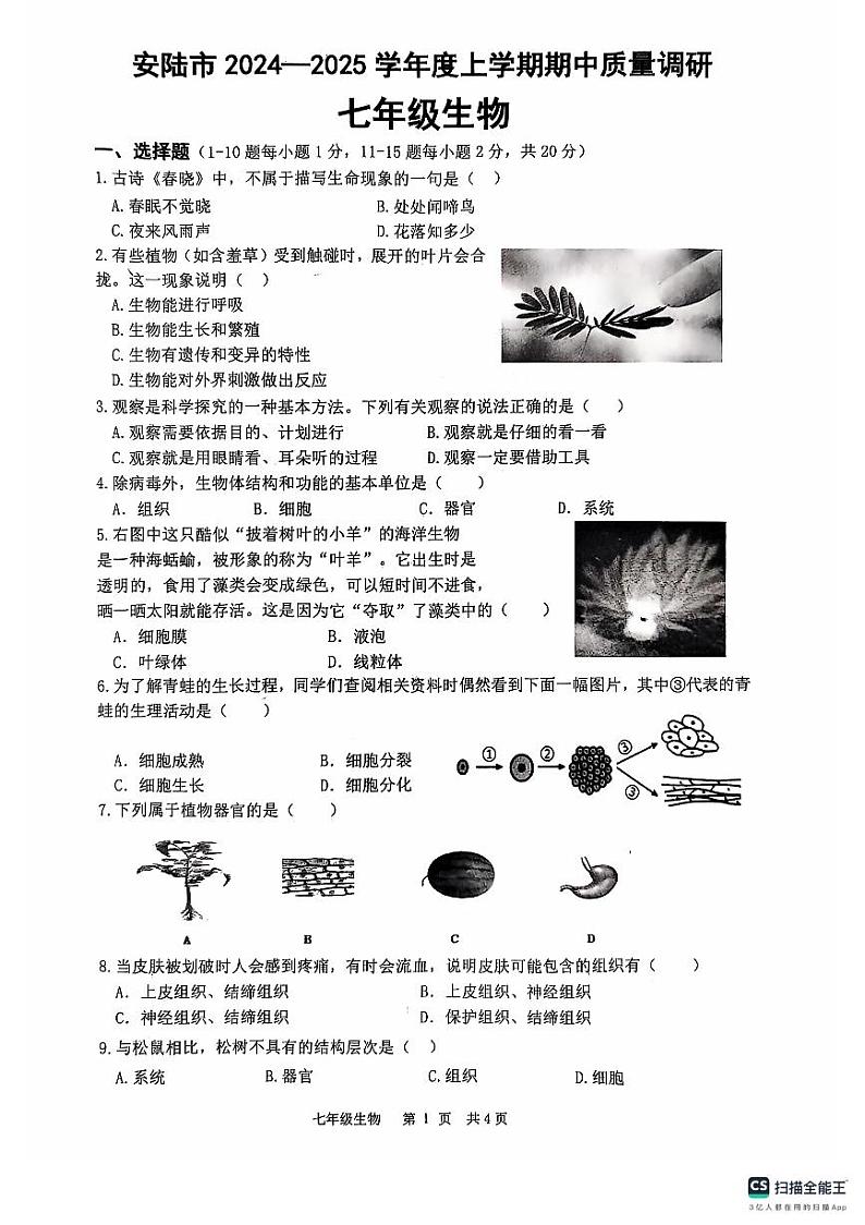 湖北省安陆市2024-2025学年七年级上学期期中质量调研生物试题第1页