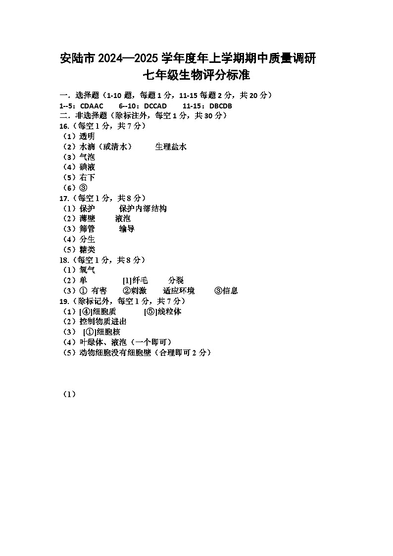 2024-2025上中七生物评分标准第1页