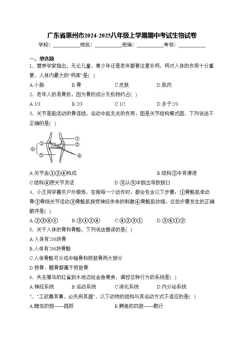 广东省惠州市2024-2025八年级上学期期中考试生物试卷(含答案)