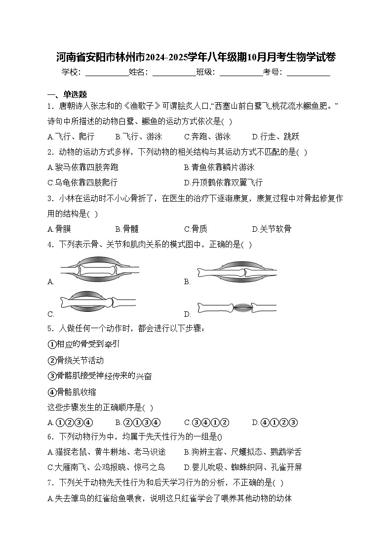 河南省安阳市林州市2024-2025学年八年级期10月月考生物学试卷(含答案)第1页