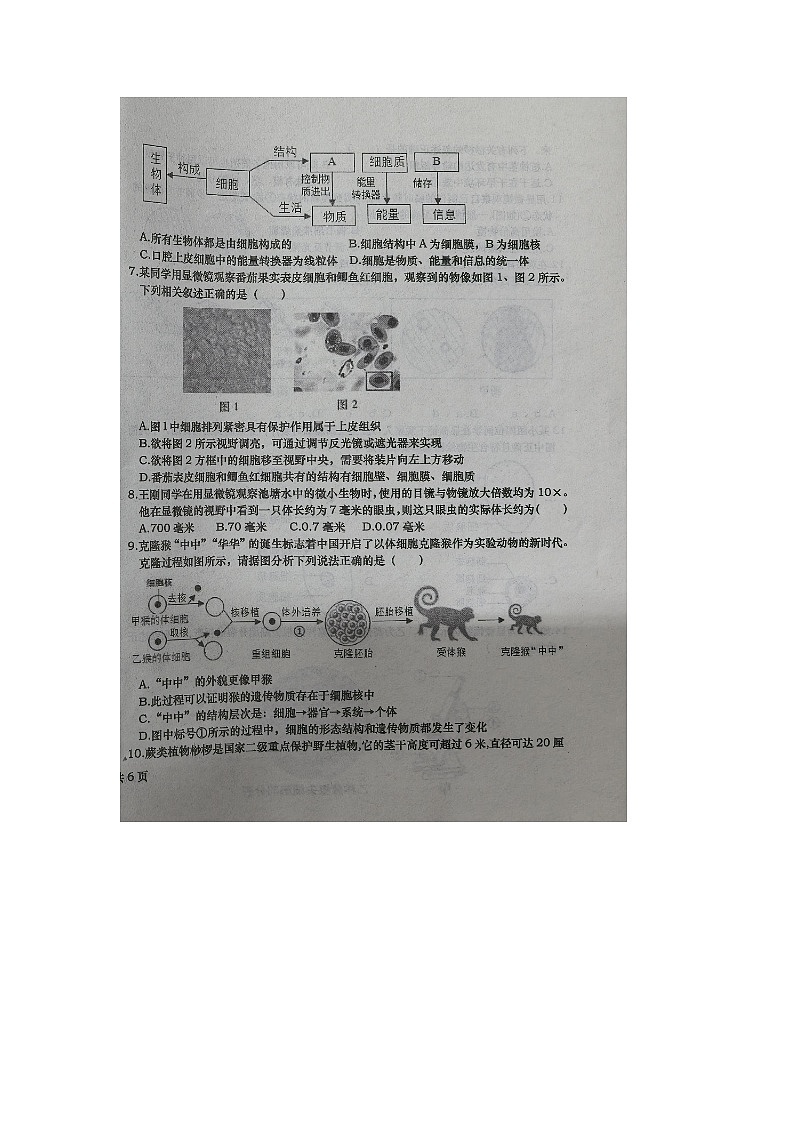 山东省德州市庆云县2024-2025学年七年级上学期期中生物试题02