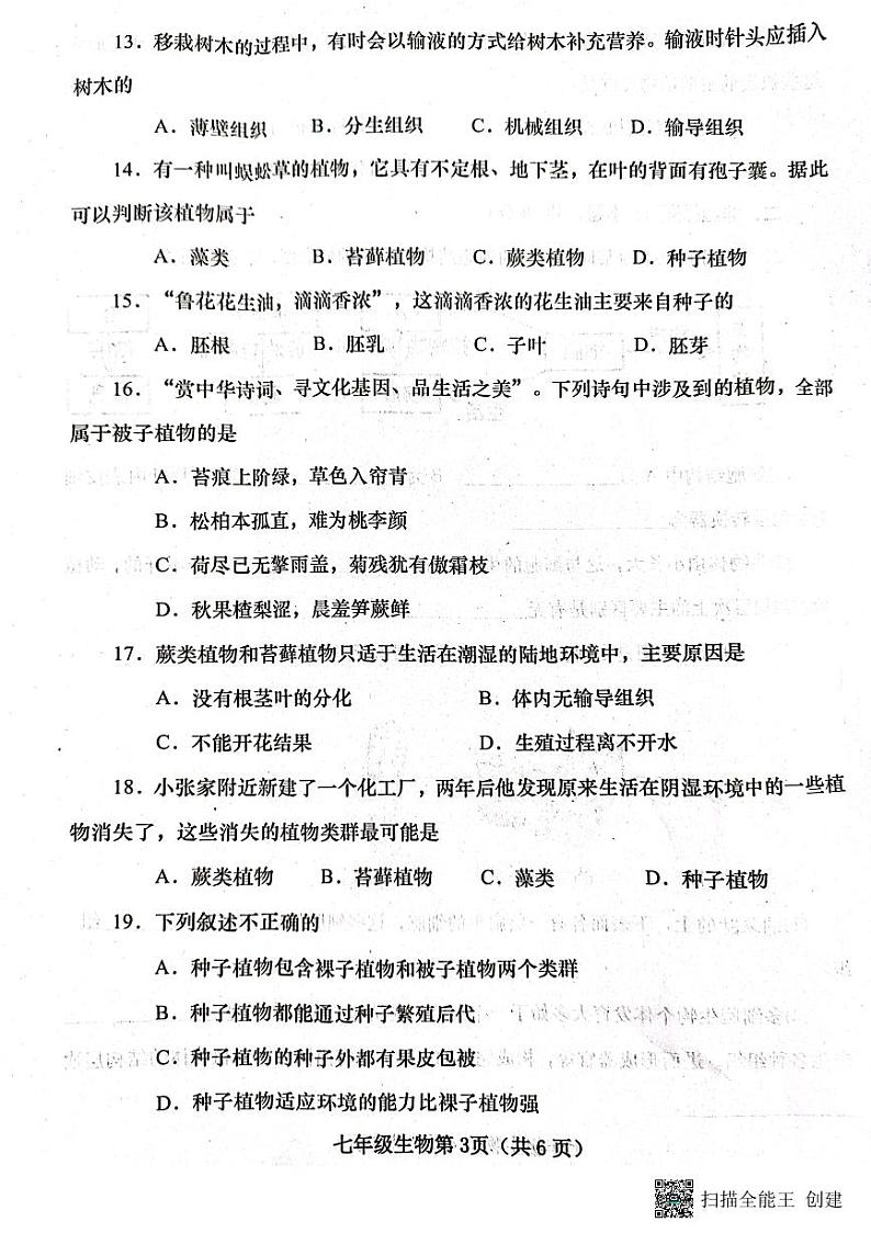 河南省南阳市镇平县2024-2025学年七年级上学期期中考试生物试卷03