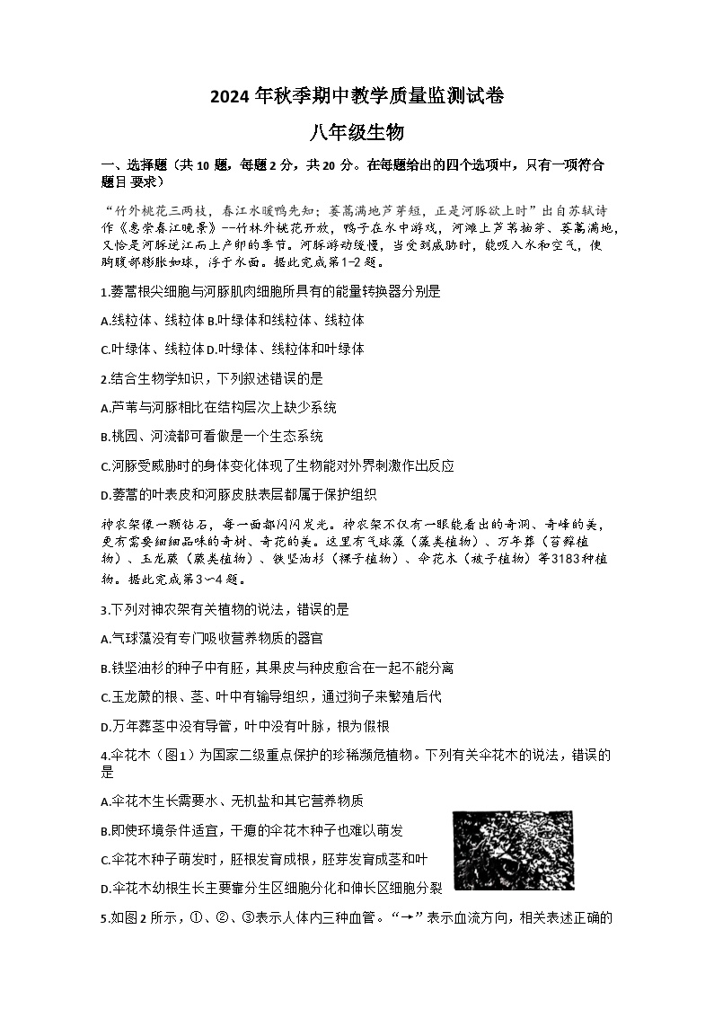 湖北省咸宁市通城县2024-2025学年八年级上学期11月期中考试生物试题