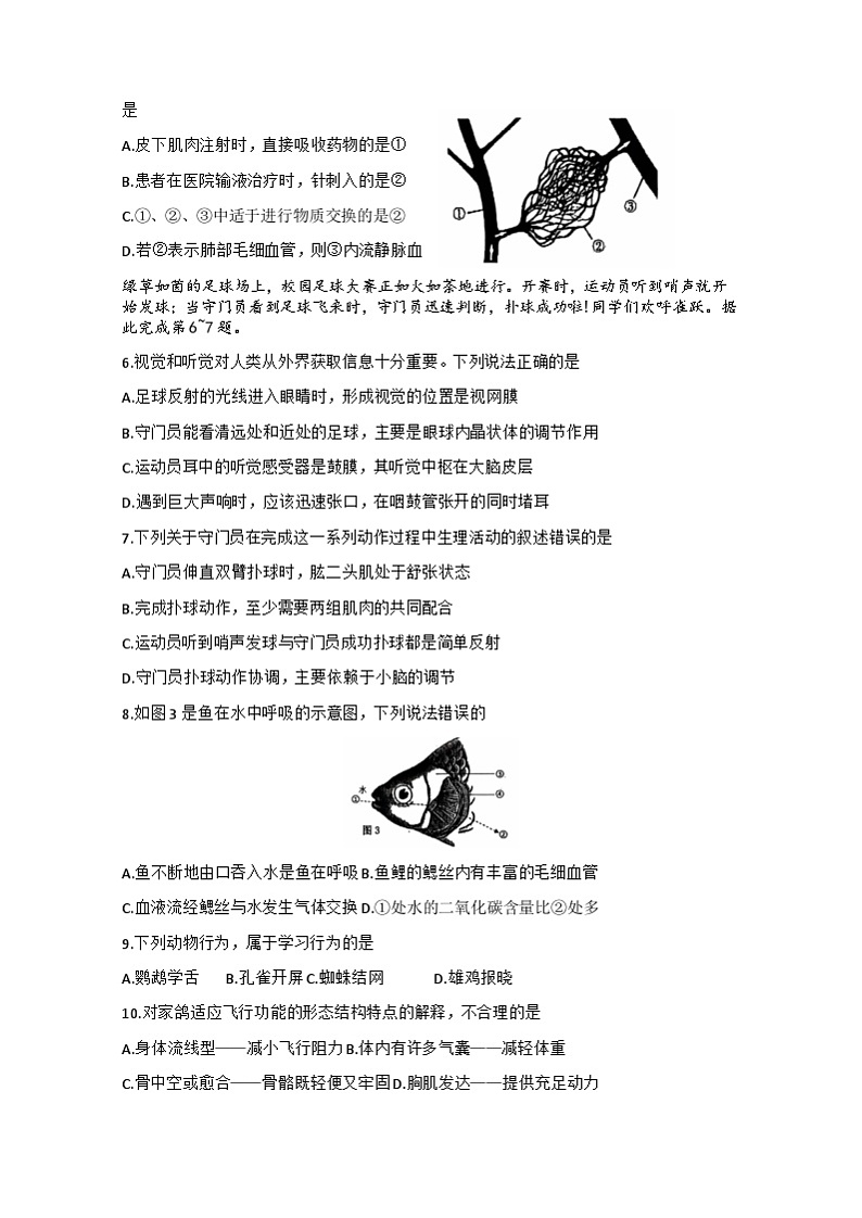 湖北省咸宁市通城县2024-2025学年八年级上学期11月期中考试生物试题02