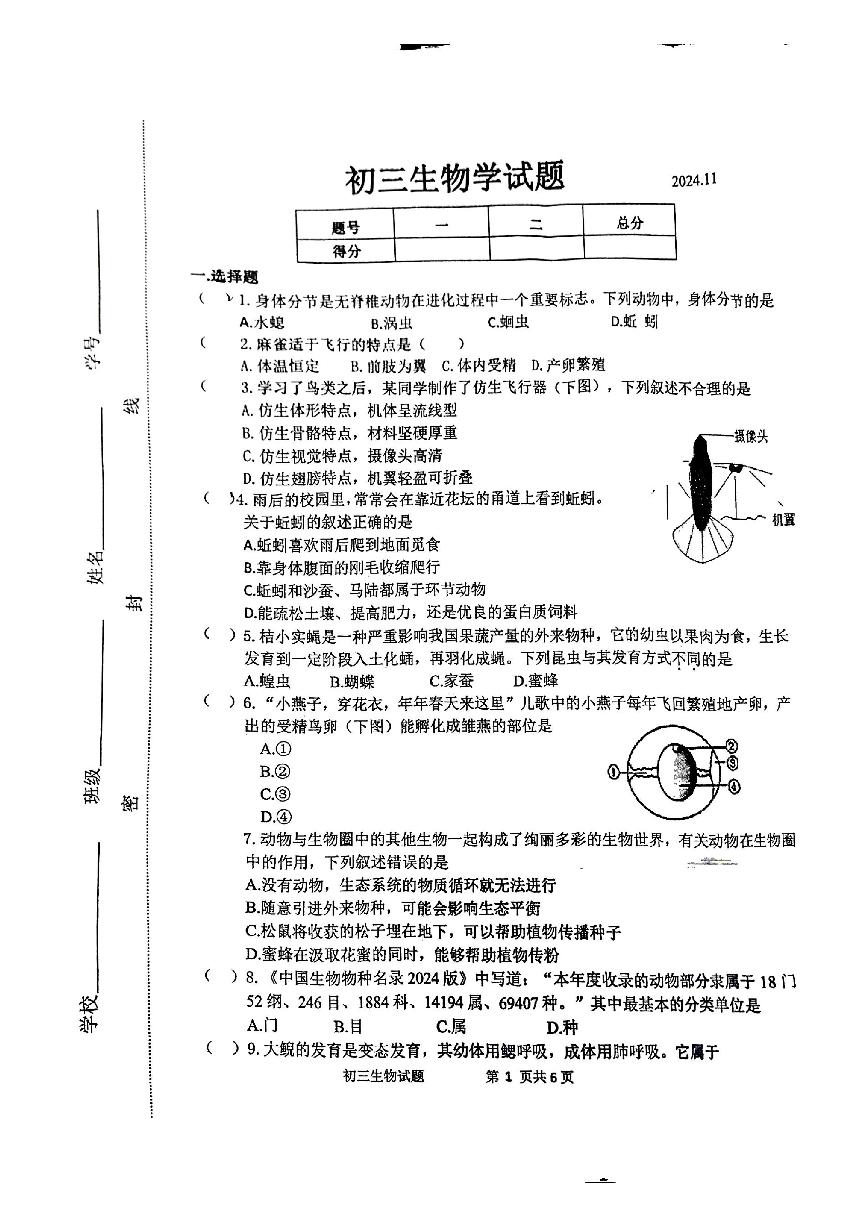 山东省淄博市淄川区2024-2025学年八年级上学期期中考试生物试题