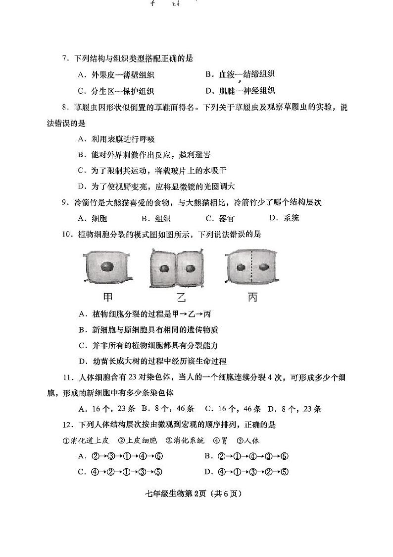 河南省南阳市镇平县2024-2025学年七年级上学期期中考试生物试卷02