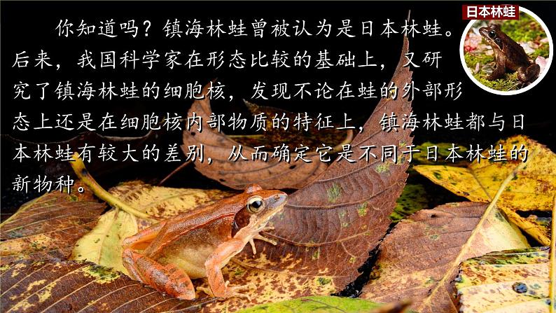 1.1 .1 观察周边环境中的生物(课件)-2024--2025学年人教版生物七年级上册第5页