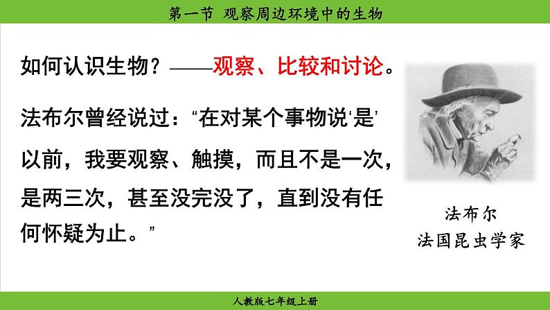 1.1 .1 观察周边环境中的生物(课件)-2024--2025学年人教版生物七年级上册第7页