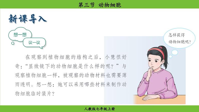 1.2.3 动物细胞(课件)-2024--2025学年人教版生物七年级上册03