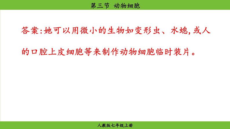 1.2.3 动物细胞(课件)-2024--2025学年人教版生物七年级上册04