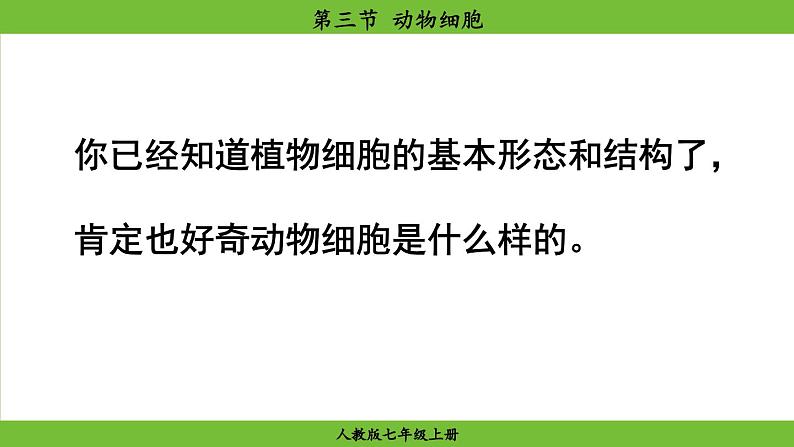 1.2.3 动物细胞(课件)-2024--2025学年人教版生物七年级上册05