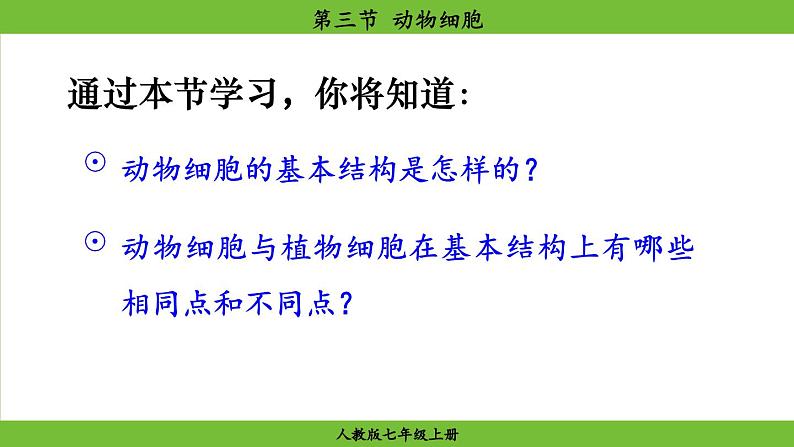 1.2.3 动物细胞(课件)-2024--2025学年人教版生物七年级上册06