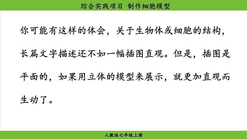 综合实践项目 制作细胞模型第3页