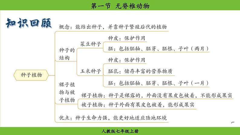 2.2.1 无脊椎动物(课件)-2024--2025学年人教版生物七年级上册第1页