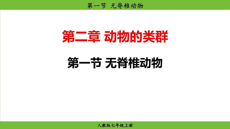2.2.1 无脊椎动物(课件)-2024--2025学年人教版生物七年级上册第2页