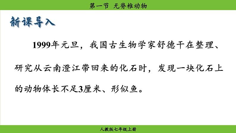 2.2.1 无脊椎动物(课件)-2024--2025学年人教版生物七年级上册第3页