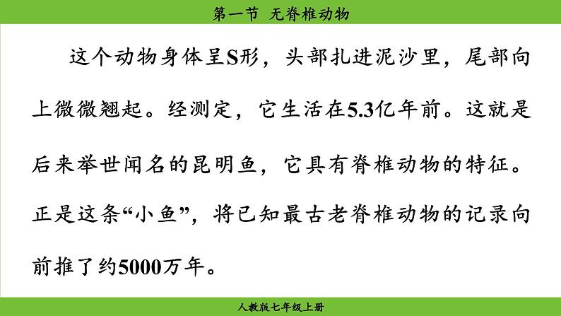 2.2.1 无脊椎动物(课件)-2024--2025学年人教版生物七年级上册第4页