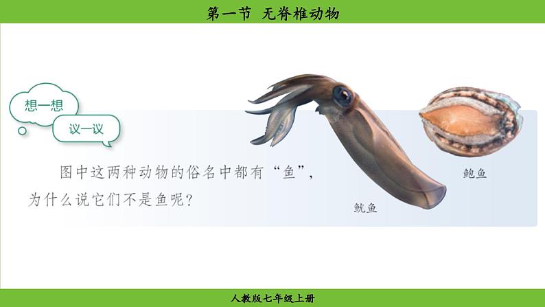 2.2.1 无脊椎动物(课件)-2024--2025学年人教版生物七年级上册第7页