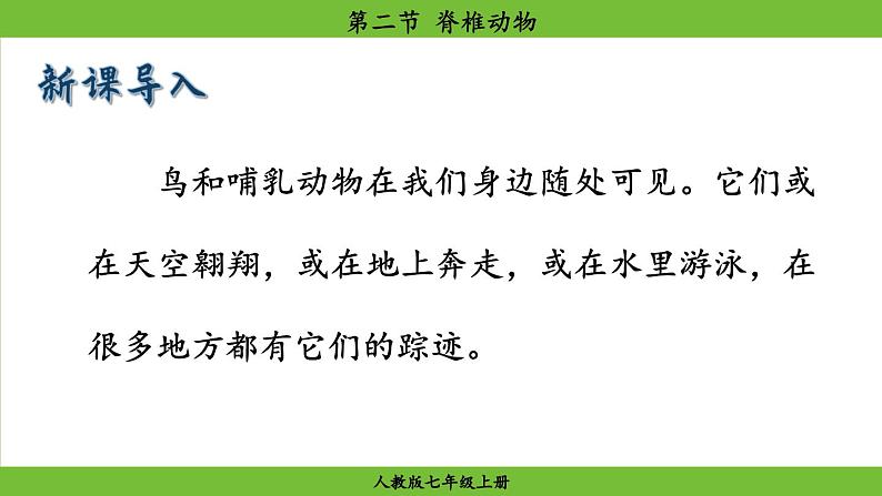 2.2.2 脊椎动物(课件)-2024--2025学年人教版生物七年级上册03