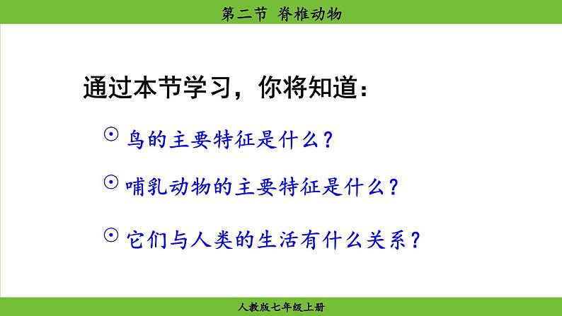 2.2.2 脊椎动物(课件)-2024--2025学年人教版生物七年级上册04