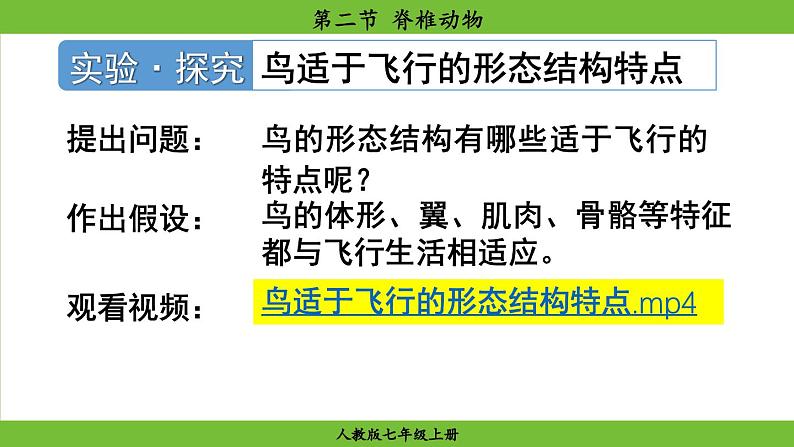 2.2.2 脊椎动物(课件)-2024--2025学年人教版生物七年级上册08