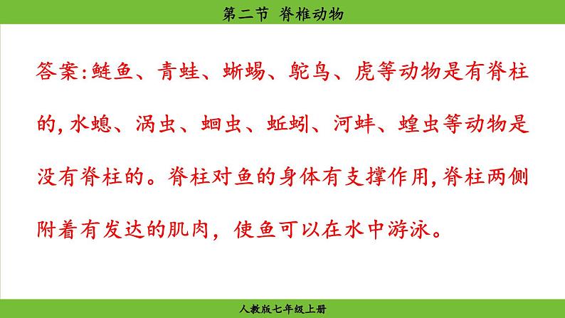 2.2.2 脊椎动物(课件)-2024--2025学年人教版生物七年级上册04