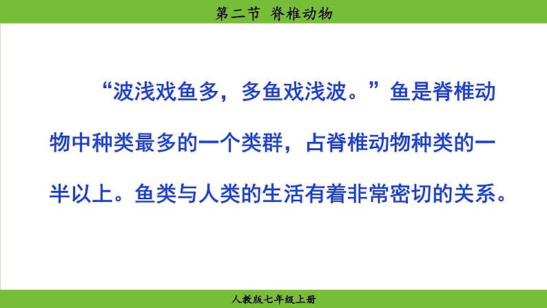 2.2.2 脊椎动物(课件)-2024--2025学年人教版生物七年级上册06