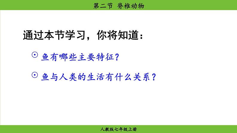 2.2.2 脊椎动物(课件)-2024--2025学年人教版生物七年级上册07