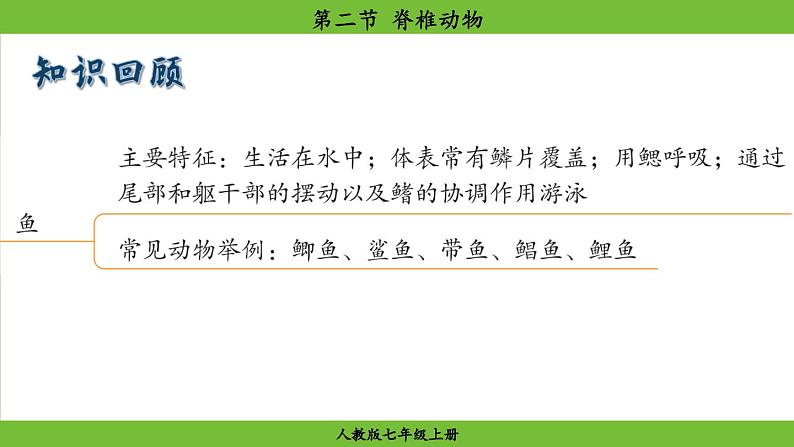 2.2.2 脊椎动物(课件)-2024--2025学年人教版生物七年级上册01