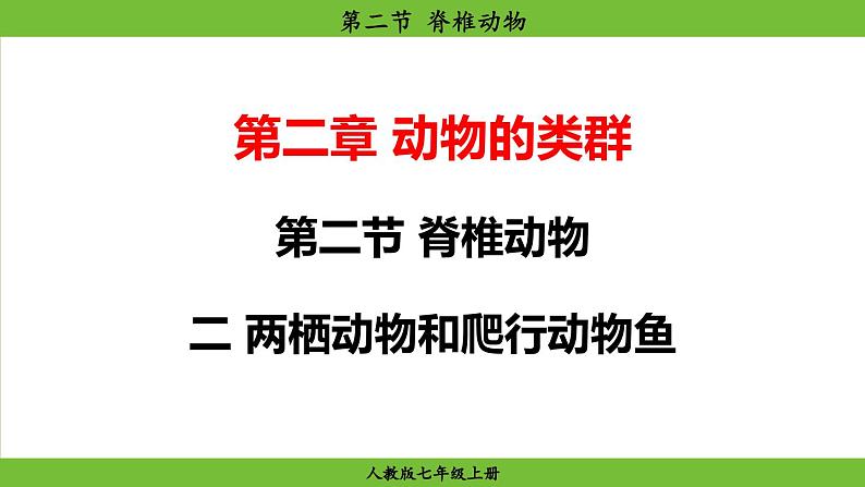 2.2.2 脊椎动物(课件)-2024--2025学年人教版生物七年级上册02