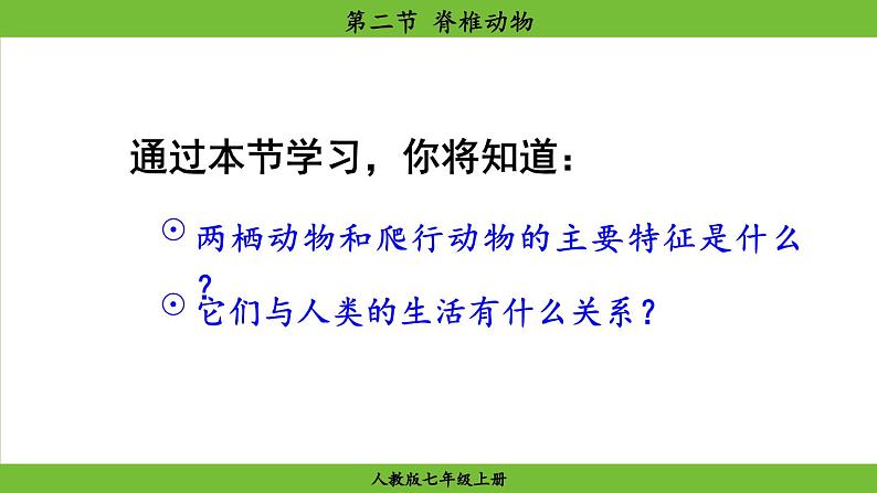 2.2.2 脊椎动物(课件)-2024--2025学年人教版生物七年级上册05