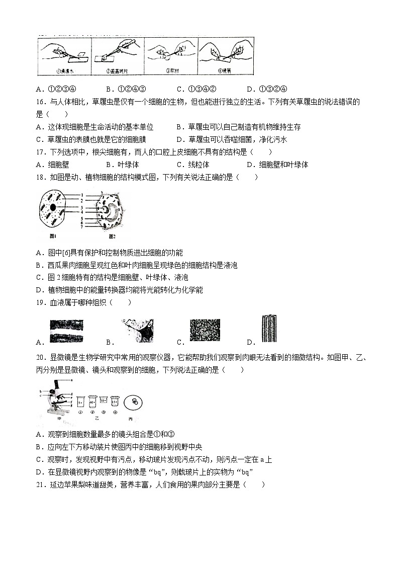 江西省抚州市东乡区2024-2025学年七年级上学期期中生物试题第3页