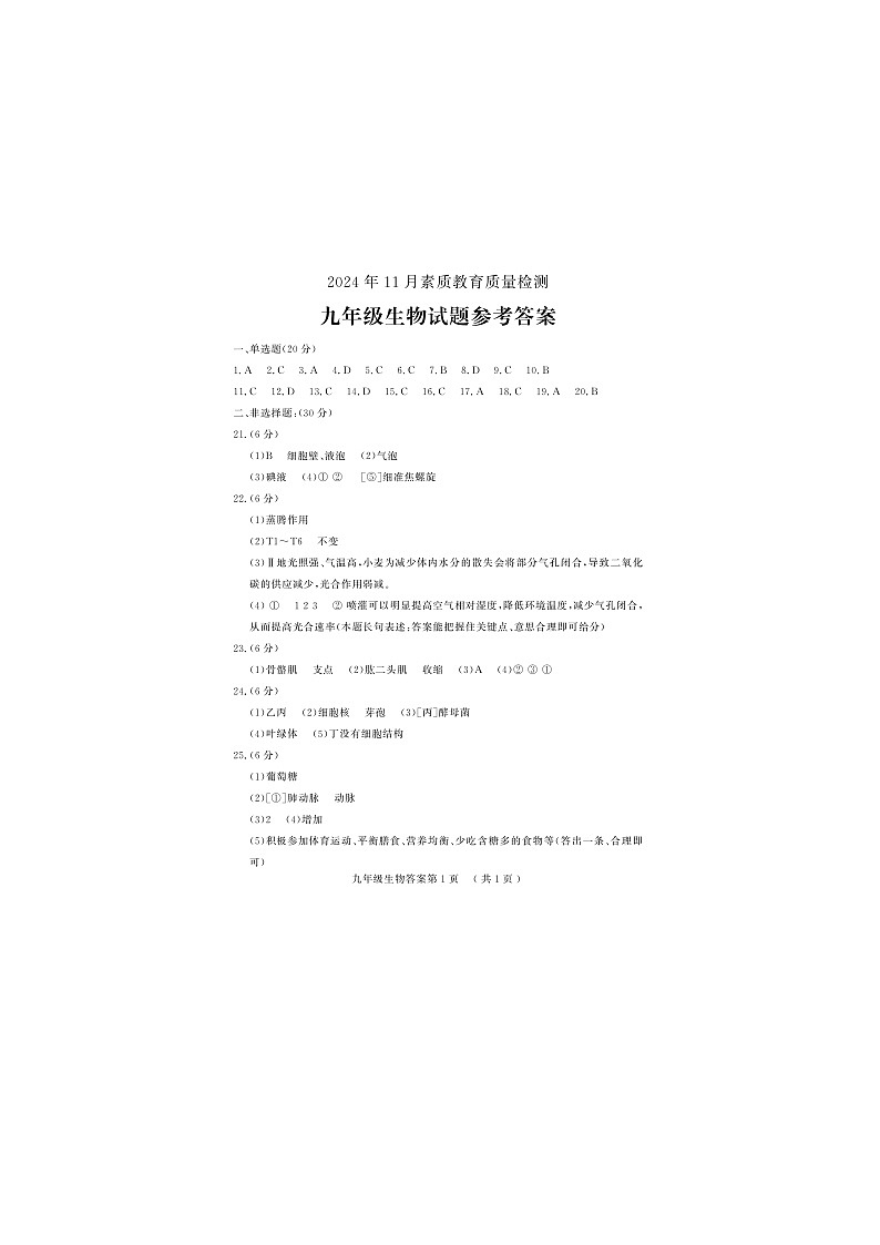 山东省菏泽市曹县2024-2025学年九年级上学期11月期中考试生物试题01